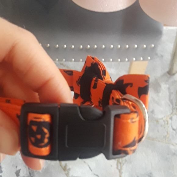 Halloween dog collar - Picture 4 of 6